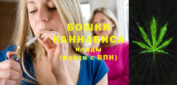 прущий лед Бронницы