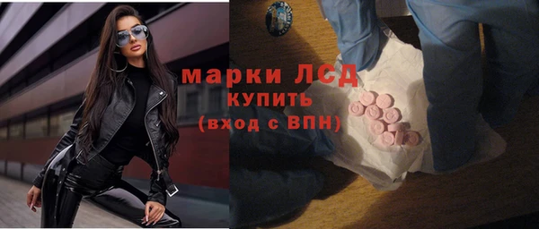 PSILOCYBIN Бородино