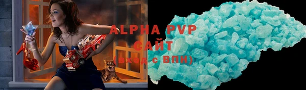 PSILOCYBIN Бородино