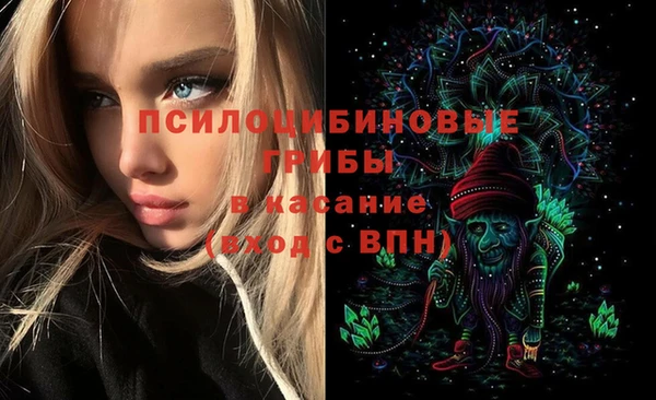 винт Бугульма
