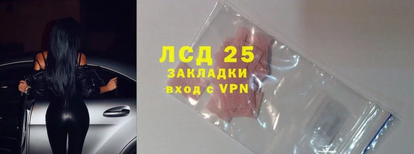 PSILOCYBIN Бородино