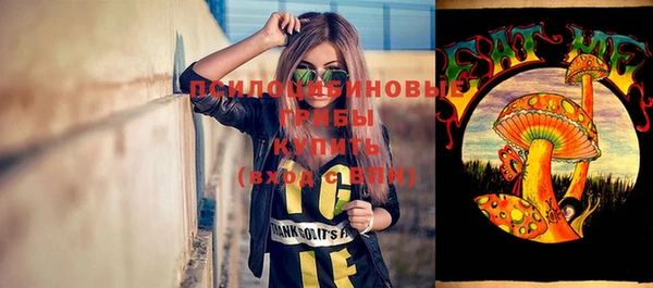 PSILOCYBIN Бородино
