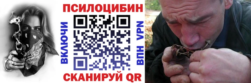 Галлюциногенные грибы Cubensis  Купить где  Усть-Джегута 